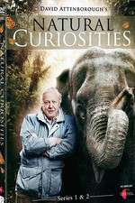 Watch Natural Curiosities 123movieshub