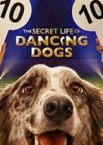 Watch The Secret Life of Dancing Dogs 123movieshub