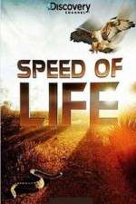 Watch Discovery Channel Speed Of Life 123movieshub