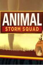 Watch Animal Storm Squad 123movieshub