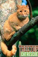 Watch Treetop Cat Rescue 123movieshub