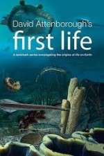 Watch David Attenborough's First Life 123movieshub