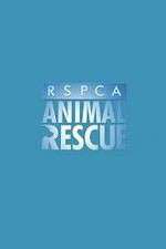 Watch RSPCA Animal Rescue 123movieshub