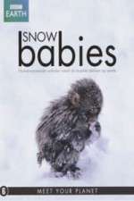 Watch Snow Babies 123movieshub