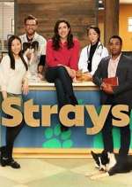 Watch Strays 123movieshub