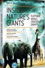 Watch Inside Nature's Giants 123movieshub