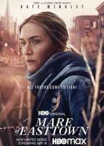 Watch Mare of Easttown 123movieshub