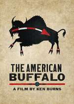 Watch The American Buffalo 123movieshub