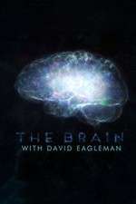 Watch The Brain with Dr David Eagleman 123movieshub