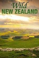 Watch Wild New Zealand 123movieshub